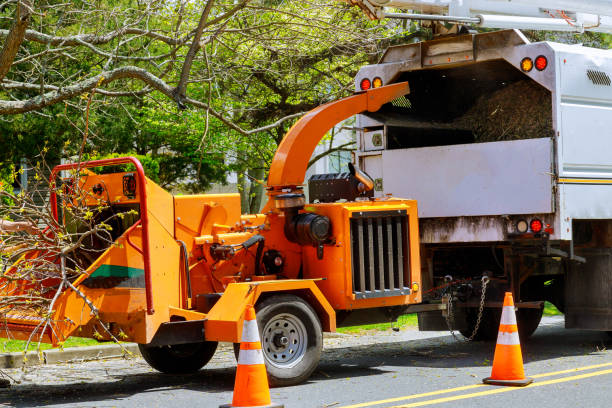 Mulching Services in Muleshoe, TX